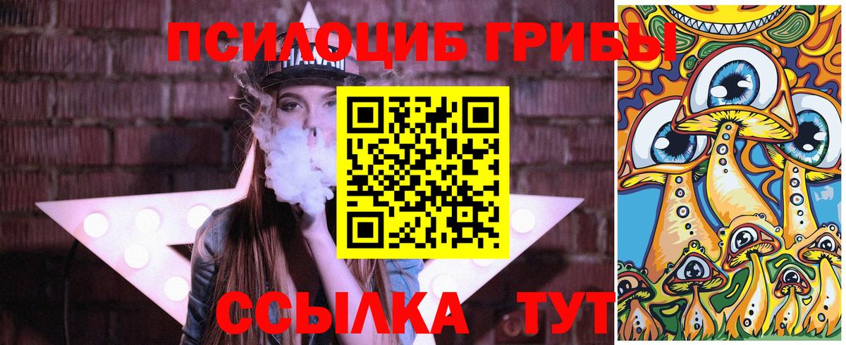 цены   Вход с VPN  Галлюциногенные грибы мицелий  Новочебоксарск  Галлюциногенные грибы Psilocybine cubensis 